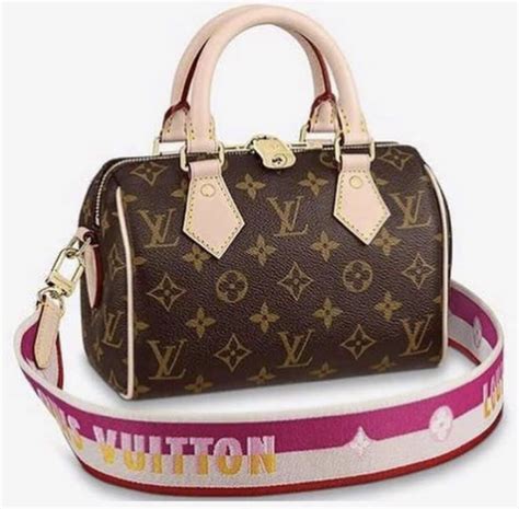 louis vuitton speedy b20.